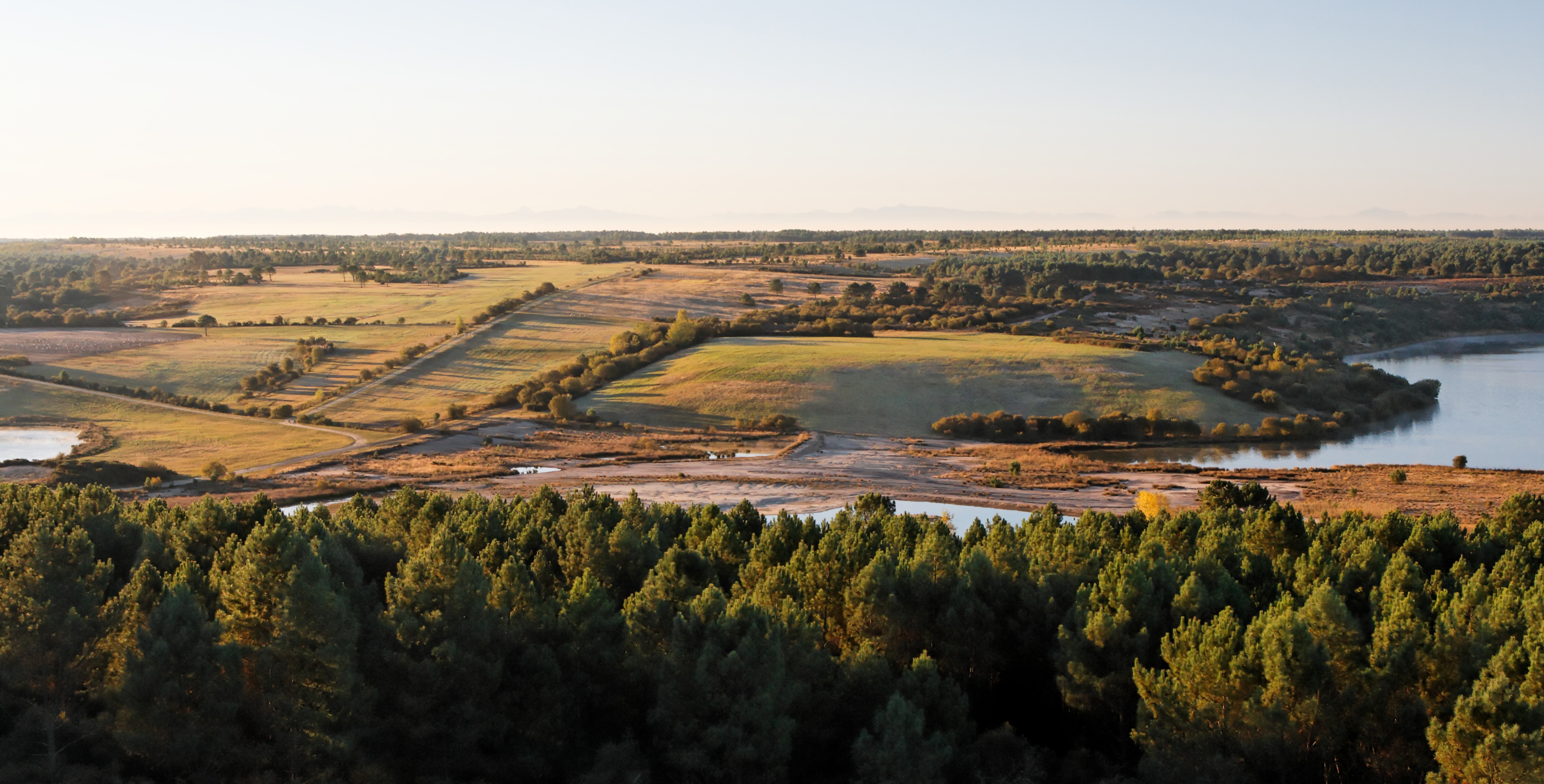 Les collines avec prairies et haies annoncent le Plateau des Grues